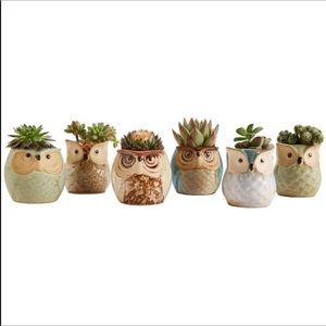 Boho western flower Ceramic Succulent Pots Set